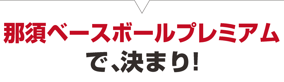 那須ベースボールプレミアムで、決まり!