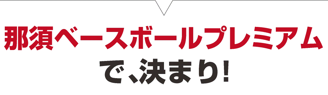 那須ベースボールプレミアムで、決まり!