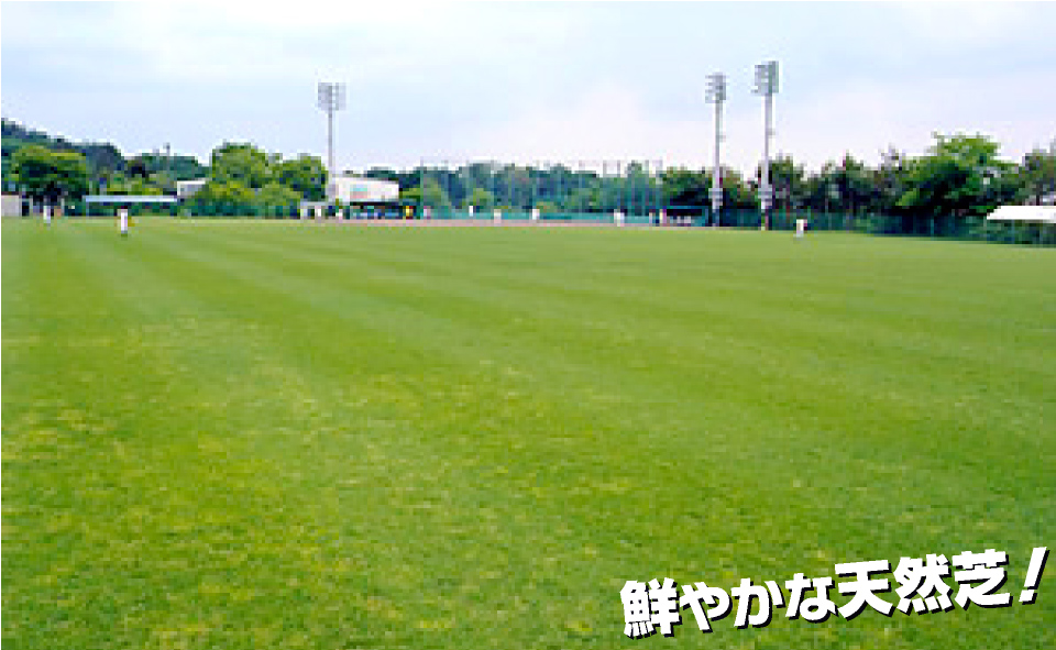 鮮やかな緑の天然のような人口芝！